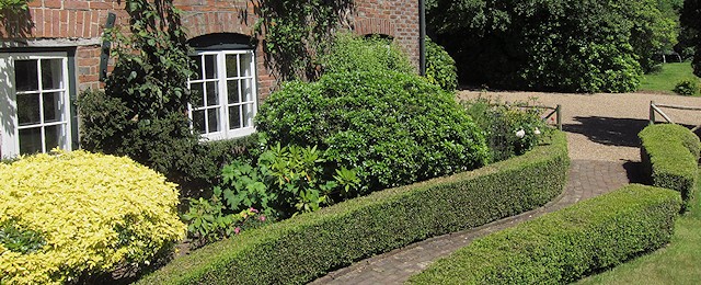Gardening services in Sevenoaks, Tonbridge, Crowborough, Tunbridge Wells, Uckfield and East Grinstead