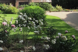 Gardeners in the Tunbridge Wells area