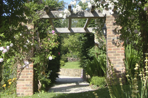 Gardener in East Sussex