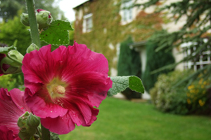 Gardeners in the Tunbridge Wells area