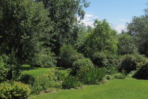 Professional gardeners in West Kent