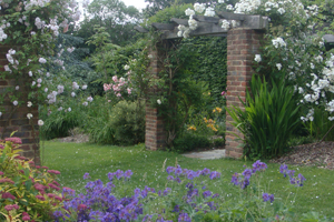 Gardeners in the Tunbridge Wells area