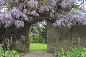 Gardener in East Sussex