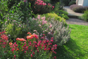 Professional gardeners in West Kent