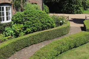 Professional gardeners in West Kent