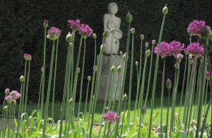 Garden maintenance in Sussex