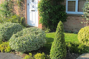 Landscape gardeners in Uckfield and Buxted